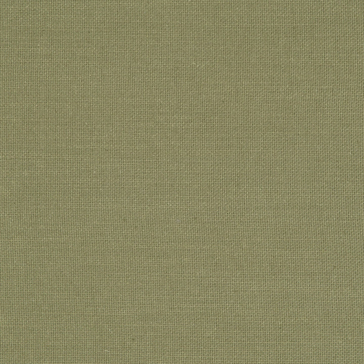 F0594 35 Nantucket Olive by Clarke and Clarke Fabric CLARKE & CLARKE COTTON - 100% India HEAVY Horizontal: 0 and Vertical: 0 55  - Fabric Carolina -