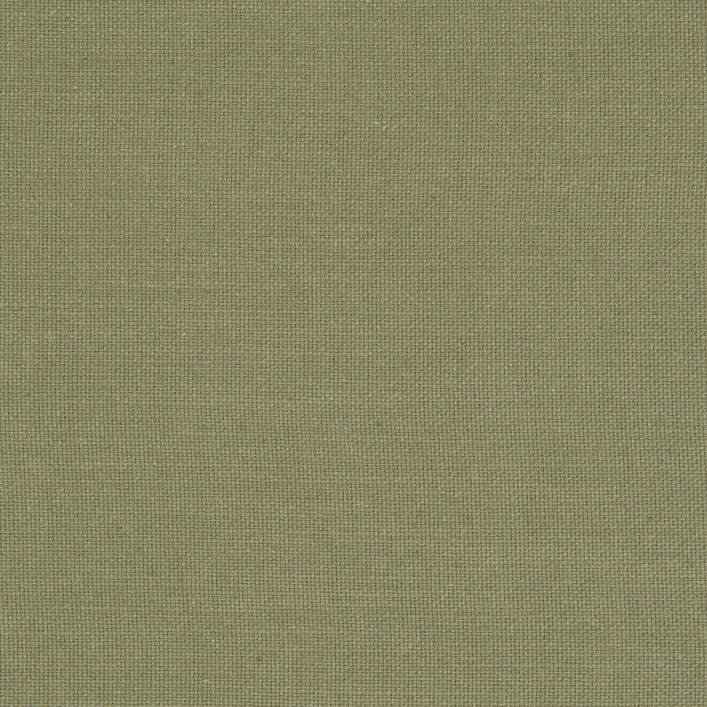 Nantucket Olive by Clarke And Clarke Fabric CLARKE & CLARKE NANTUCKET COTTON - 100% India HEAVY Horizontal: 0 and Vertical: 0 55 - Fabric Carolina -