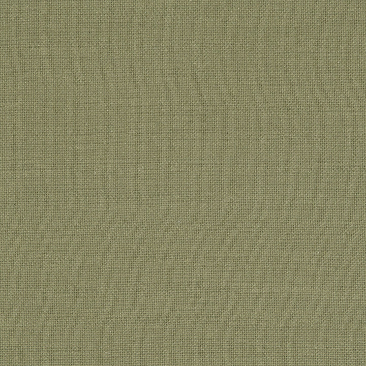 Nantucket Olive by Clarke And Clarke Fabric CLARKE & CLARKE NANTUCKET COTTON - 100% India HEAVY Horizontal: 0 and Vertical: 0 55 - Fabric Carolina -