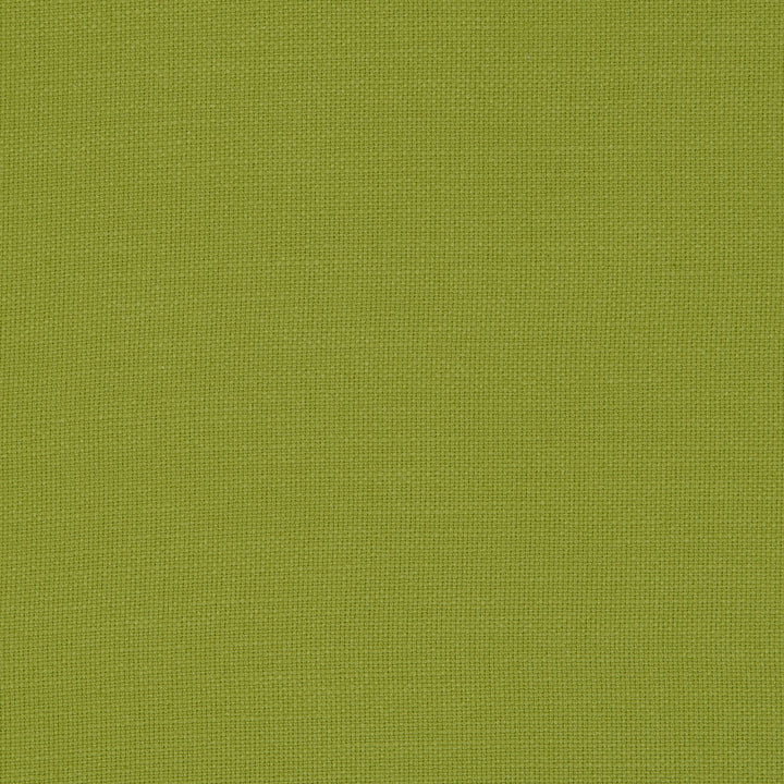 F0594 36 Nantucket Palm by Clarke and Clarke Fabric CLARKE & CLARKE COTTON - 100% India HEAVY Horizontal: 0 and Vertical: 0 55  - Fabric Carolina -