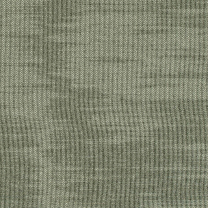 Nantucket Sage by Clarke And Clarke Fabric CLARKE & CLARKE NANTUCKET COTTON - 100% India HEAVY Horizontal: 0 and Vertical: 0 55 - Fabric Carolina -