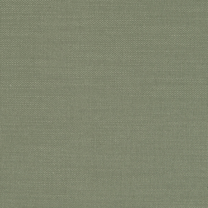 F0594 44 Nantucket Sage by Clarke and Clarke Fabric CLARKE & CLARKE COTTON - 100% India HEAVY Horizontal: 0 and Vertical: 0 55  - Fabric Carolina -