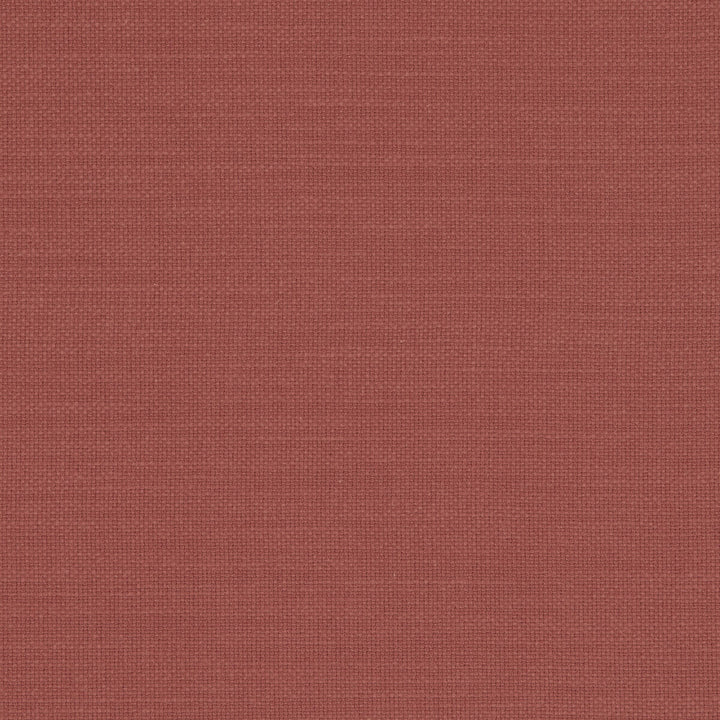 Nantucket Sienna by Clarke And Clarke Fabric CLARKE & CLARKE NANTUCKET COTTON - 100% India HEAVY Horizontal: 0 and Vertical: 0 55 - Fabric Carolina -