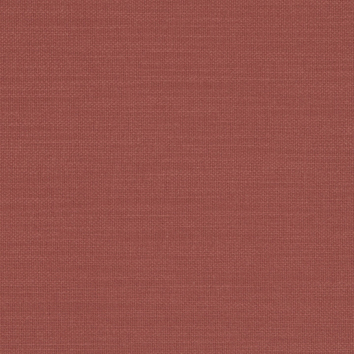 Nantucket Sienna by Clarke And Clarke Designer Fabric CLARKE & CLARKE NANTUCKET COTTON - 100% India HEAVY Horizontal: 0 and Vertical: 0 55 - Swanky Fabrics -