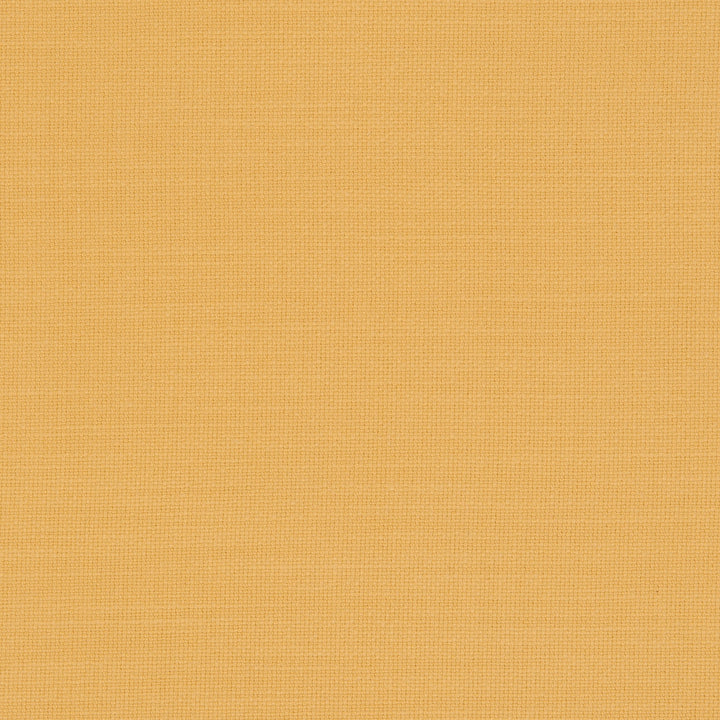 F0594 53 Nantucket Sunflower by Clarke and Clarke Fabric CLARKE & CLARKE COTTON - 100% India HEAVY Horizontal: 0 and Vertical: 0 55  - Fabric Carolina -