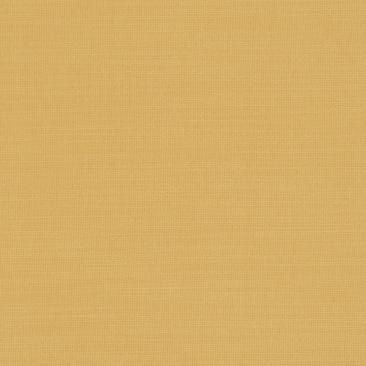 Nantucket Sunflower by Clarke And Clarke Fabric CLARKE & CLARKE NANTUCKET COTTON - 100% India HEAVY Horizontal: 0 and Vertical: 0 55 - Fabric Carolina -
