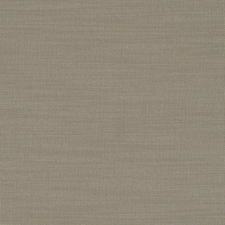 Nantucket Taupe by Clarke And Clarke Fabric CLARKE & CLARKE NANTUCKET COTTON - 100% India HEAVY Horizontal: 0 and Vertical: 0 55 - Fabric Carolina -