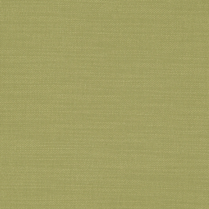 F0594 56 Nantucket Willow by Clarke and Clarke Fabric CLARKE & CLARKE COTTON - 100% India HEAVY Horizontal: 0 and Vertical: 0 55  - Fabric Carolina -