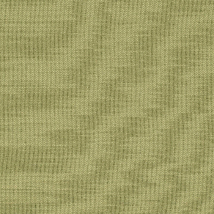 Nantucket Willow by Clarke And Clarke Fabric CLARKE & CLARKE NANTUCKET COTTON - 100% India HEAVY Horizontal: 0 and Vertical: 0 55 - Fabric Carolina -