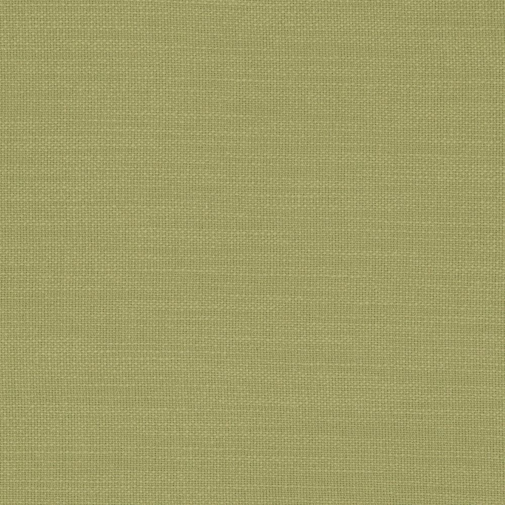 Nantucket Willow by Clarke And Clarke Fabric CLARKE & CLARKE NANTUCKET COTTON - 100% India HEAVY Horizontal: 0 and Vertical: 0 55 - Fabric Carolina -
