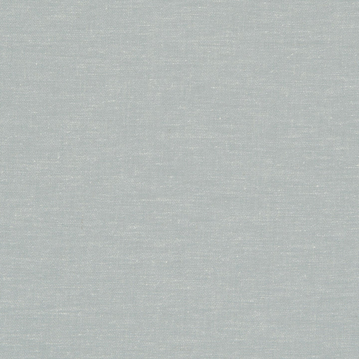 Abbey Mineral by Clarke And Clarke Fabric CLARKE & CLARKE RIBBLE VALLEY POLYESTER - 68%;LINEN - 21%;COTTON - 11% India HEAVY Horizontal: 0 and Vertical: 0 54 - Fabric Carolina -