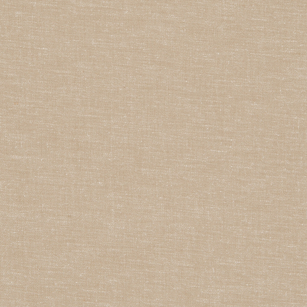 Abbey Sand by Clarke And Clarke Fabric CLARKE & CLARKE RIBBLE VALLEY POLYESTER - 68%;LINEN - 21%;COTTON - 11% India HEAVY Horizontal: 0 and Vertical: 0 54 - Fabric Carolina -