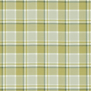 Bowland Citrus by Clarke And Clarke Fabric
