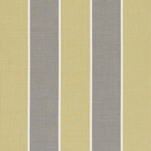 Chatburn Citrus by Clarke And Clarke Fabric
