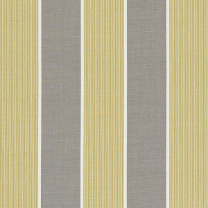 Chatburn Citrus by Clarke And Clarke Fabric