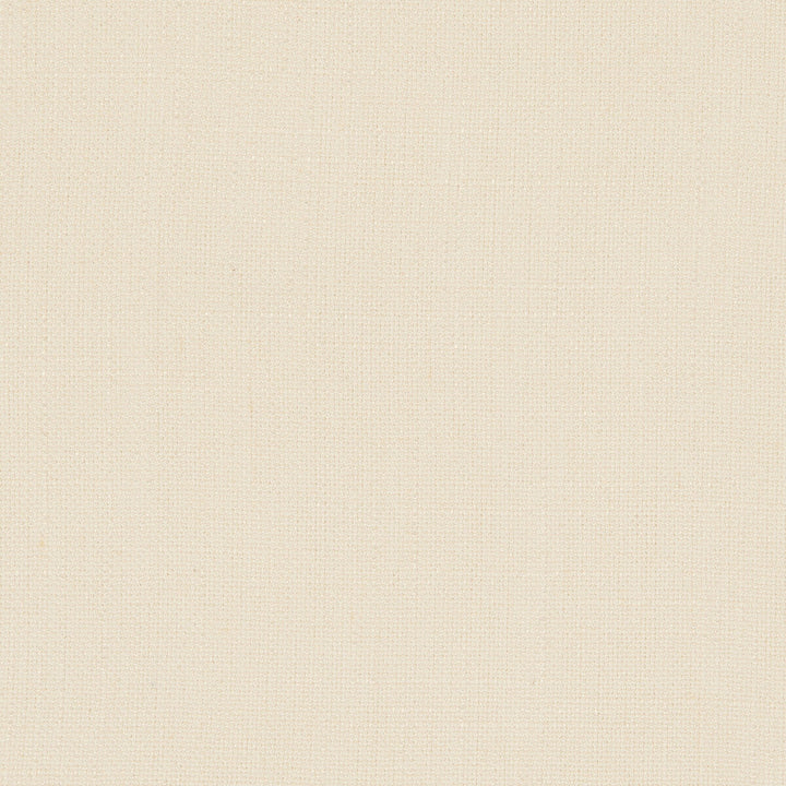 Martinique Ivory by Clarke And Clarke Designer Fabric CLARKE & CLARKE PORTFOLIO VISCOSE - 52%;POLYESTER - 18%;COTTON - 15%;LINEN - 15% China HEAVY Horizontal: 0 and Vertical: 0 55 - Swanky Fabrics -