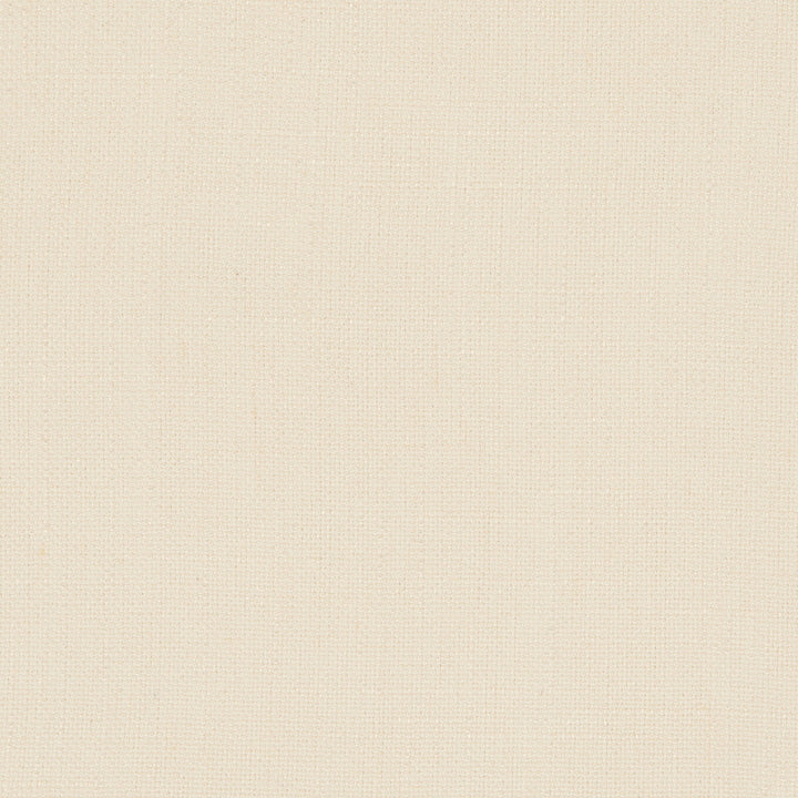 Martinique Ivory by Clarke And Clarke Fabric CLARKE & CLARKE PORTFOLIO VISCOSE - 52%;POLYESTER - 18%;COTTON - 15%;LINEN - 15% China HEAVY Horizontal: 0 and Vertical: 0 55 - Fabric Carolina -