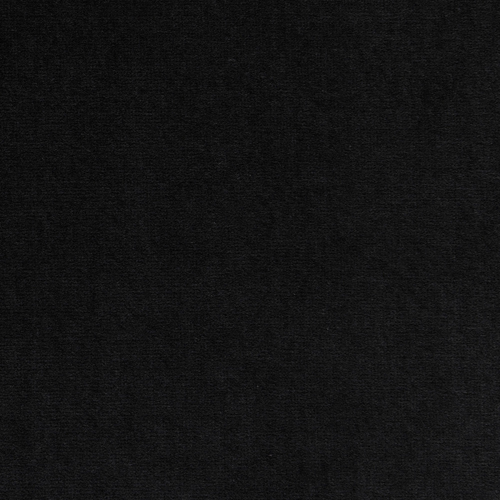 Palais Raven by Clarke And Clarke Fabric CLARKE & CLARKE PALAIS COTTON - 100% Italy HEAVY Horizontal: 0 and Vertical: 0 55 - Fabric Carolina -