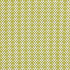 April Showers Citrus by Clarke And Clarke Fabric
