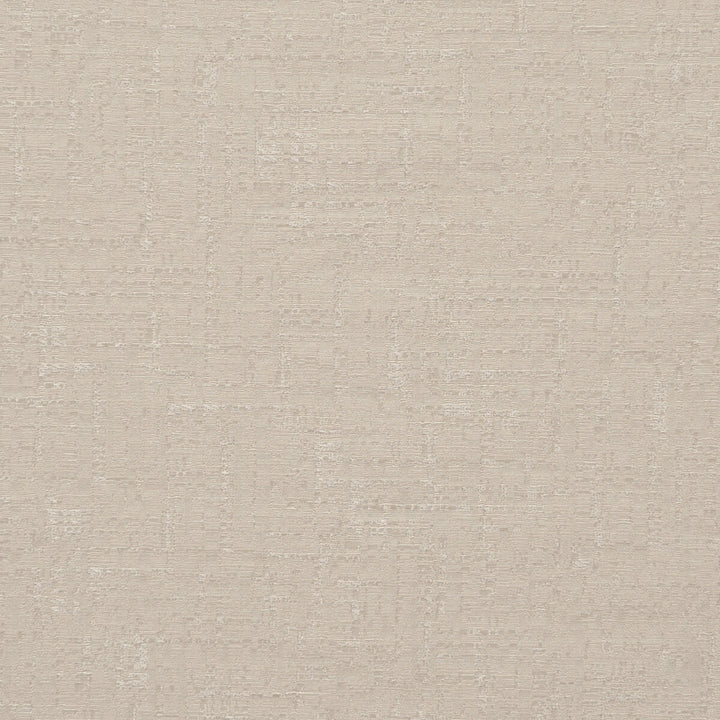 Donato Feather by Clarke And Clarke Fabric CLARKE & CLARKE TRAVIATA POLYAMIDE - 40%;POLYESTER - 25%;LINEN - 19%;COTTON - 16% India HEAVY Horizontal: 9.25 and Vertical: 11.42 54 - Fabric Carolina -