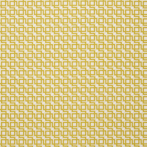 Muzio Chartreuse by Clarke And Clarke Fabric