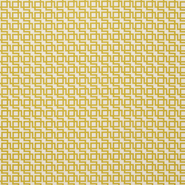 Muzio Chartreuse by Clarke And Clarke Fabric CLARKE & CLARKE TRAVIATA POLYESTER - 72%;VISCOSE - 28% India MEDIUM Horizontal: 0.98 and Vertical: 0.98 54 - Fabric Carolina -