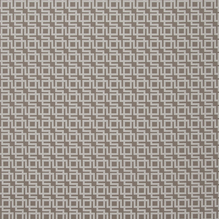 Muzio Dove by Clarke And Clarke Fabric CLARKE & CLARKE TRAVIATA POLYESTER - 72%;VISCOSE - 28% India MEDIUM Horizontal: 0.98 and Vertical: 0.98 54 - Fabric Carolina -