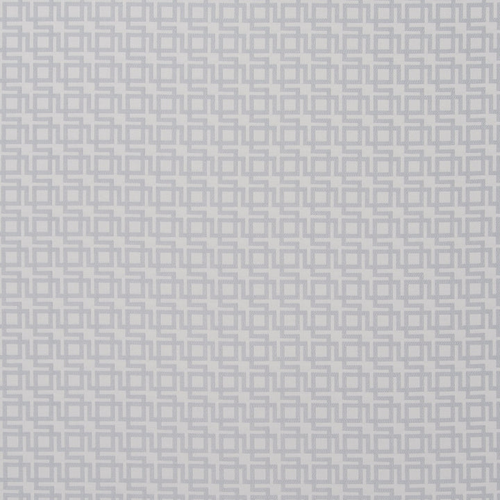Muzio Silver by Clarke And Clarke Fabric CLARKE & CLARKE TRAVIATA POLYESTER - 72%;VISCOSE - 28% India MEDIUM Horizontal: 0.98 and Vertical: 0.98 54 - Fabric Carolina -