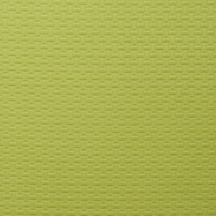 Scala Apple by Clarke And Clarke Fabric CLARKE & CLARKE TRAVIATA COTTON - 70%;POLYESTER - 30% India HEAVY Horizontal: 1.1 and Vertical: 1.34 54 - Fabric Carolina -