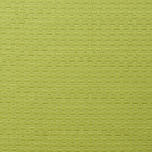 Scala Apple by Clarke And Clarke Fabric