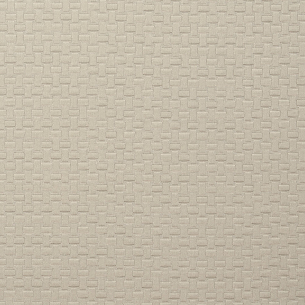 Scala Feather by Clarke And Clarke Fabric CLARKE & CLARKE TRAVIATA COTTON - 70%;POLYESTER - 30% India HEAVY Horizontal: 1.1 and Vertical: 1.34 54 - Fabric Carolina -
