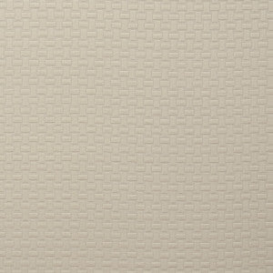 Scala Feather by Clarke And Clarke Fabric