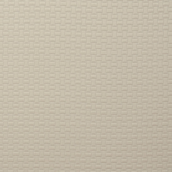 Scala Feather by Clarke And Clarke Fabric Clarke And Clarke Fabric Scala FeatherFabric CLARKE & CLARKE TRAVIATA COTTON - 70%;POLYESTER - 30% India </p><p>Repeat: H: 1.1, V: 1.34 54 - Fabric Carolina -