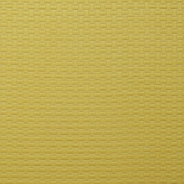 Scala Chartreuse by Clarke And Clarke Fabric CLARKE & CLARKE TRAVIATA COTTON - 70%;POLYESTER - 30% India HEAVY Horizontal: 1.1 and Vertical: 1.34 54 - Fabric Carolina -