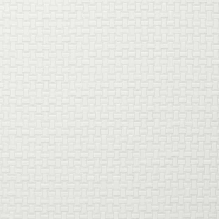 Scala Bianco by Clarke And Clarke Fabric CLARKE & CLARKE TRAVIATA COTTON - 70%;POLYESTER - 30% India HEAVY Horizontal: 1.1 and Vertical: 1.34 54 - Fabric Carolina -