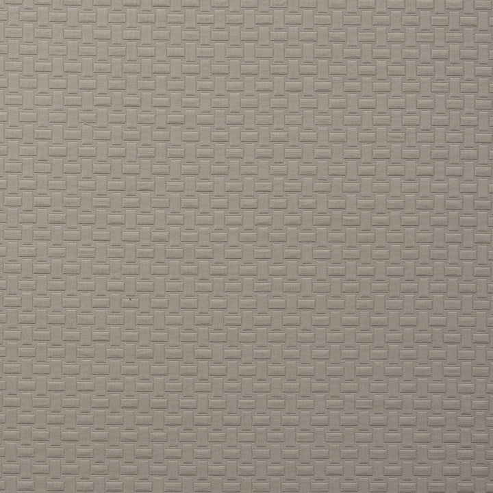 Scala Dove by Clarke And Clarke Fabric CLARKE & CLARKE TRAVIATA COTTON - 70%;POLYESTER - 30% India HEAVY Horizontal: 1.1 and Vertical: 1.34 54 - Fabric Carolina -