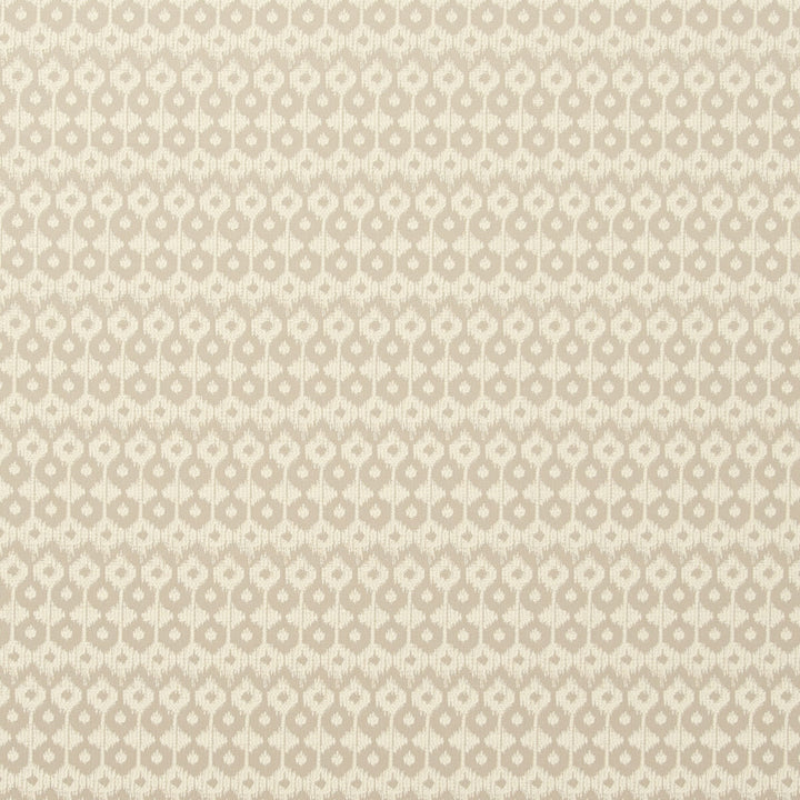 Chico Natural by Clarke And Clarke Fabric CLARKE & CLARKE ZANZIBAR COTTON - 54%;POLYESTER - 46% India HEAVY Horizontal: 0.87 and Vertical: 5.71 55 - Fabric Carolina -