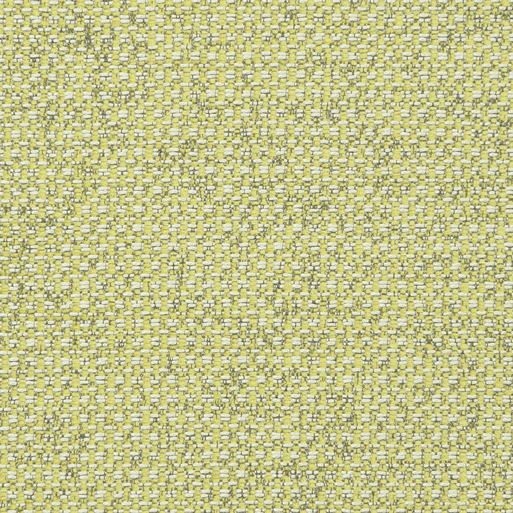 Casanova Acacia by Clarke And Clarke Designer Fabric CLARKE & CLARKE CASANOVA POLYESTER - 65%;VISCOSE - 35% Turkey HEAVY Horizontal: 0 and Vertical: 0 54 - Swanky Fabrics -