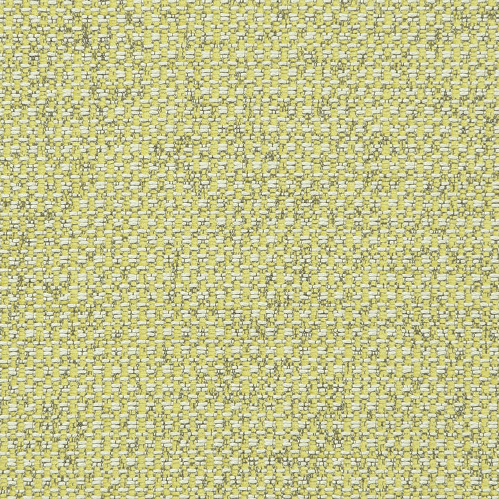 Casanova Acacia by Clarke And Clarke Fabric CLARKE & CLARKE CASANOVA POLYESTER - 65%;VISCOSE - 35% Turkey HEAVY Horizontal: 0 and Vertical: 0 54 - Fabric Carolina -