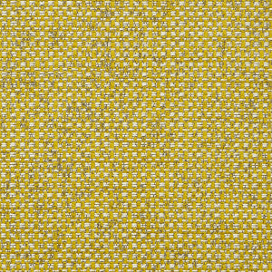 Casanova Chartreuse by Clarke And Clarke Fabric