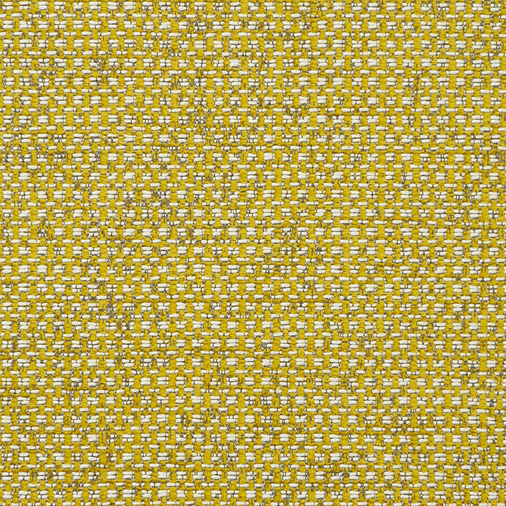 Casanova Chartreuse by Clarke And Clarke Fabric Clarke And Clarke Fabric Casanova ChartreuseFabric CLARKE & CLARKE CASANOVA POLYESTER - 65%;VISCOSE - 35% Turkey </p><p>Repeat: H: 0, V: 0 54 - Fabric Carolina -