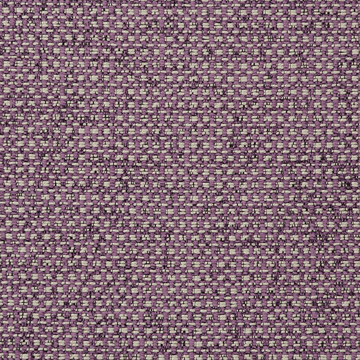 Casanova Orchid by Clarke And Clarke Fabric CLARKE & CLARKE CASANOVA POLYESTER - 65%;VISCOSE - 35% Turkey HEAVY Horizontal: 0 and Vertical: 0 54 - Fabric Carolina -