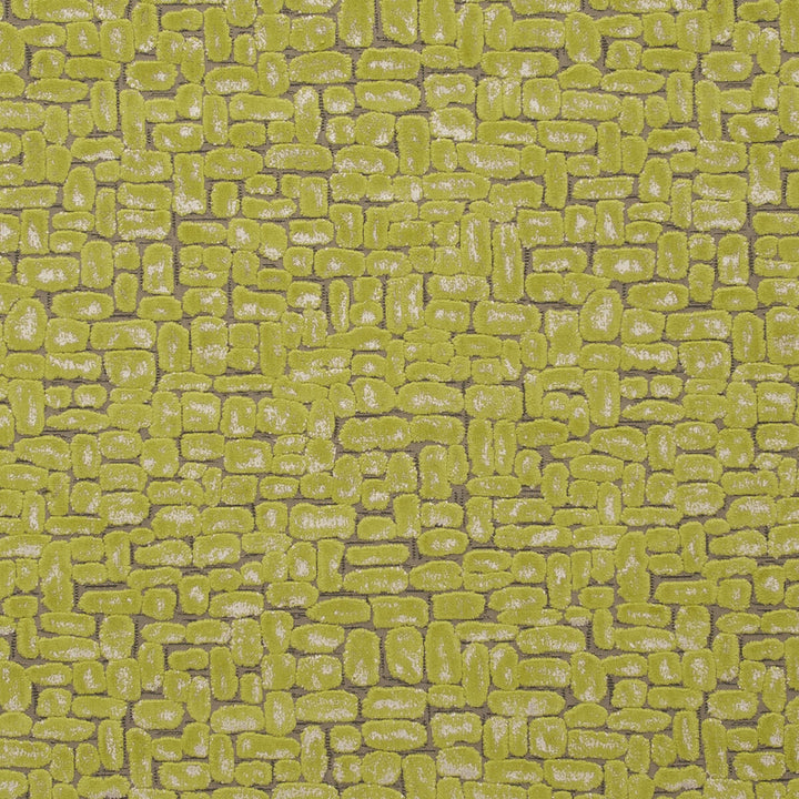 Moda Citrus by Clarke And Clarke Fabric CLARKE & CLARKE DIMENSIONS POLYESTER - 51%;COTTON - 49% Turkey HEAVY Horizontal: 13.78 and Vertical: 16.14 54 - Fabric Carolina -