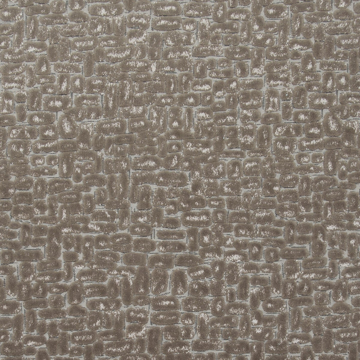 Moda Taupe by Clarke And Clarke Fabric CLARKE & CLARKE DIMENSIONS POLYESTER - 51%;COTTON - 49% Turkey HEAVY Horizontal: 13.78 and Vertical: 16.14 54 - Fabric Carolina -
