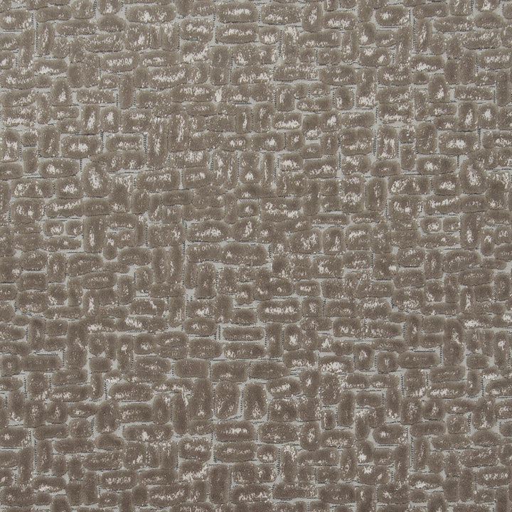 Moda Taupe by Clarke And Clarke Designer Fabric CLARKE & CLARKE DIMENSIONS POLYESTER - 51%;COTTON - 49% Turkey HEAVY Horizontal: 13.78 and Vertical: 16.14 54 - Swanky Fabrics -