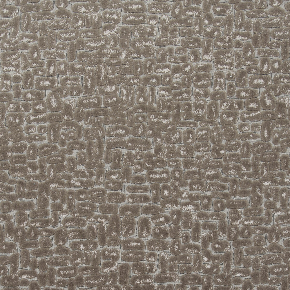 Moda Taupe by Clarke And Clarke Fabric CLARKE & CLARKE DIMENSIONS POLYESTER - 51%;COTTON - 49% Turkey HEAVY Horizontal: 13.78 and Vertical: 16.14 54 - Fabric Carolina -