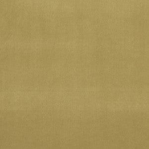Alvar Olive by Clarke And Clarke Fabric