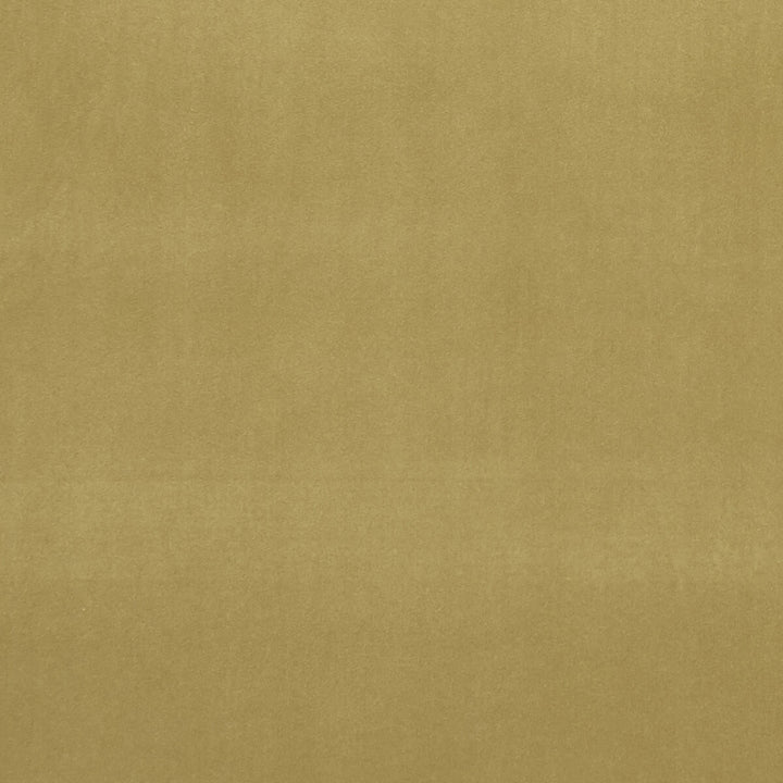 Alvar Olive by Clarke And Clarke Fabric CLARKE & CLARKE ALVAR POLYESTER - 100% China HEAVY Horizontal: 0 and Vertical: 0 57 - Fabric Carolina -