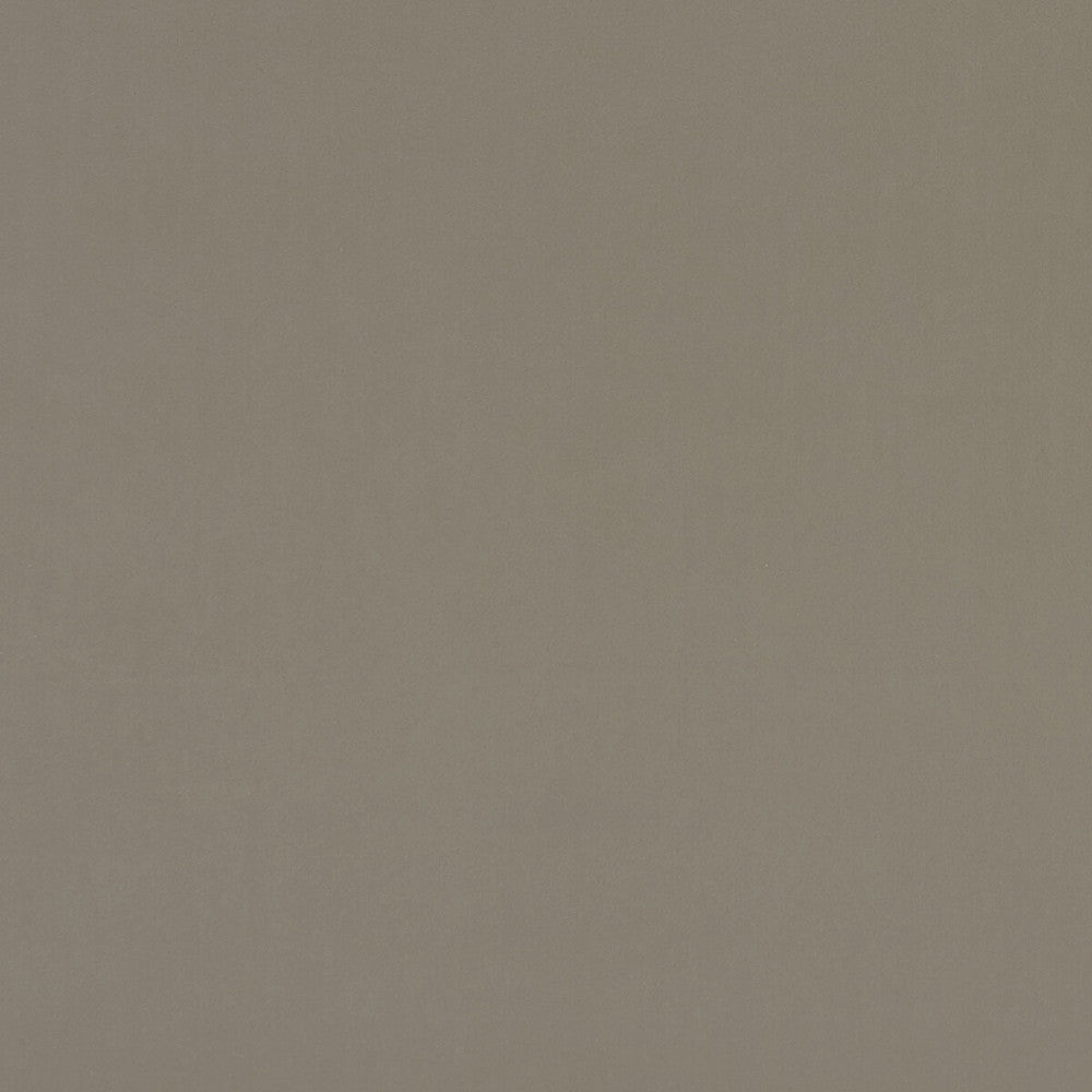 Alvar Taupe by Clarke And Clarke Fabric CLARKE & CLARKE ALVAR POLYESTER - 100% China HEAVY Horizontal: 0 and Vertical: 0 57 - Fabric Carolina -