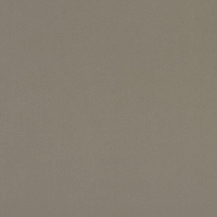 Alvar Taupe by Clarke And Clarke Fabric Clarke And Clarke Fabric Alvar TaupeFabric CLARKE & CLARKE ALVAR POLYESTER - 100% China </p><p>Repeat: H: 0, V: 0 57 - Fabric Carolina -